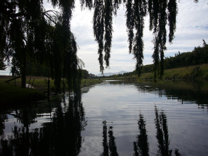 Travel - New Zealand - Blenheim